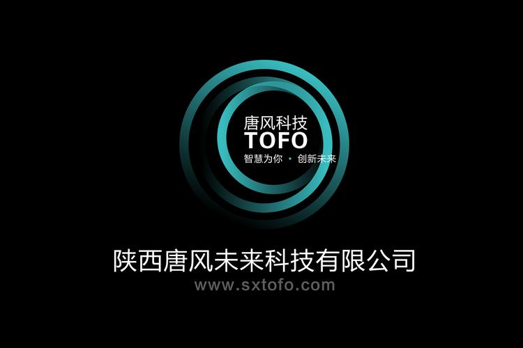陕西唐风未来科技